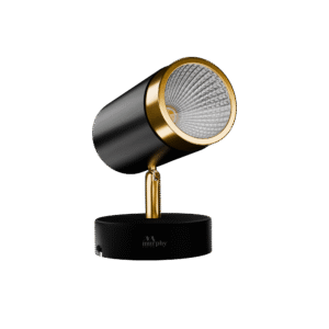LED Spot Light - Black Brass